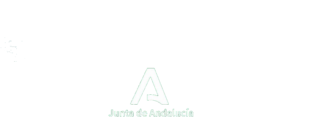 IES Pino Montano